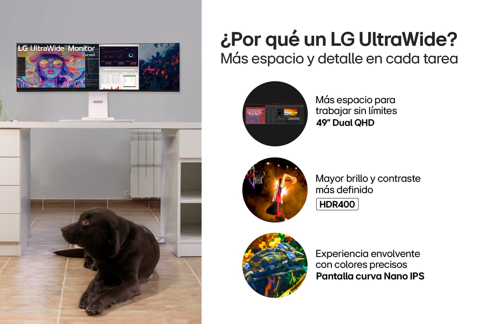 Por que un monitor LG UltraWide Dual 